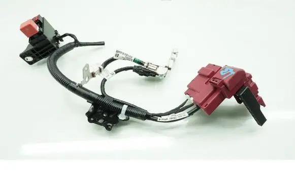 Lexus LBX Other wiring loom