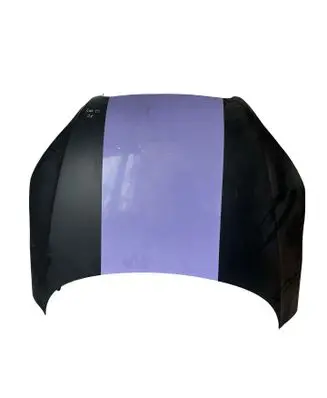 Audi TT TTS Mk2 Engine bonnet/hood 8J0823029 8P0010191G