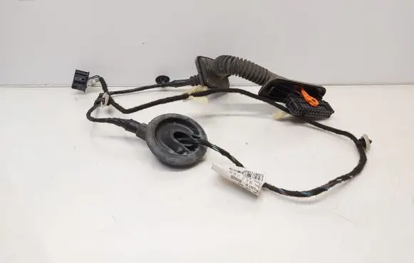 Rear door wiring loom