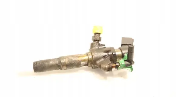 Citroen C4 I Picasso Fuel injector 9674973080