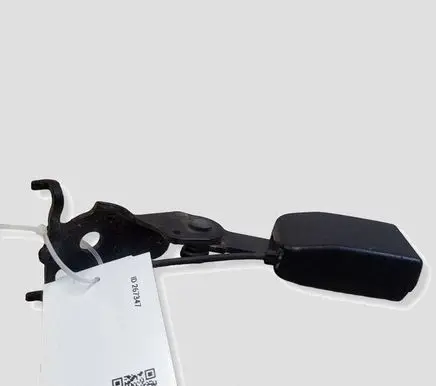 Renault Megane III Rear seatbelt buckle B6021666 F202181209
