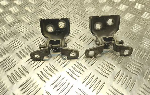 Dacia Duster Rear door hinge set 