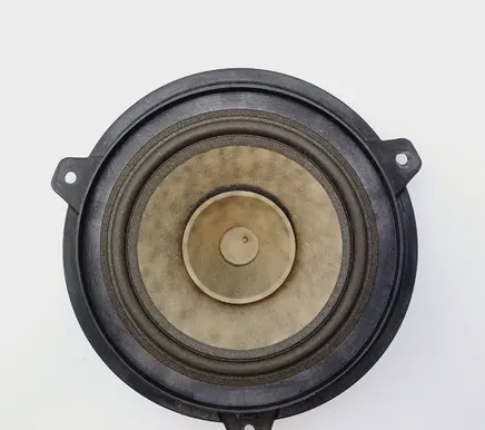 Rear door speaker