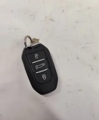 Citroen C4 Cactus Ignition key/card S000043807