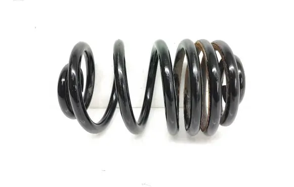 Renault Trafic III (X82) Rear coil spring