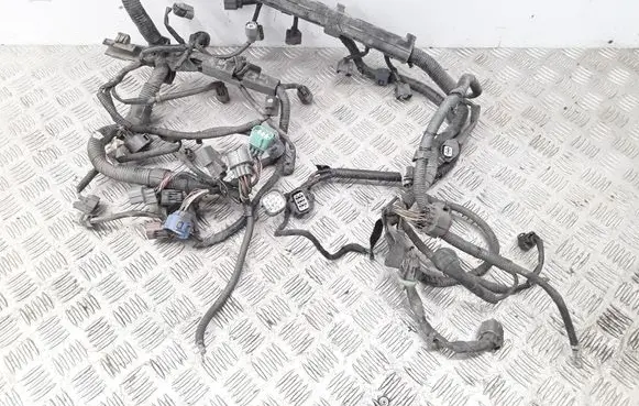 Engine installation wiring loom