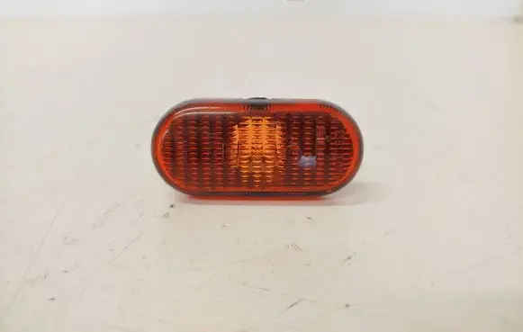 Renault Clio II Front fender indicator light E10142789