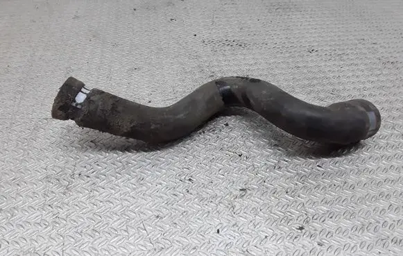 Citroen Berlingo Engine coolant pipe/hose