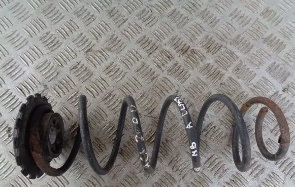 Rear coil spring