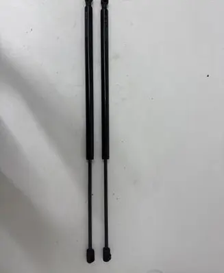 Tailgate/trunk strut/damper