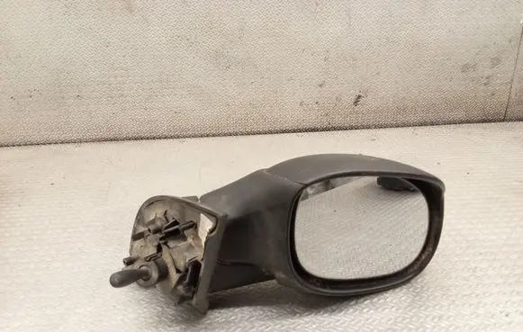 Citroen C3 Manual wing mirror E2011019