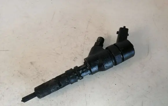 Citroen C5 Fuel injector 0445110008 9635196580