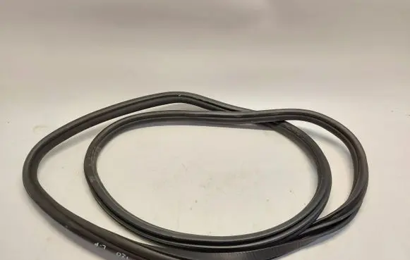 BMW iX Front door rubber seal 8491416JLK01