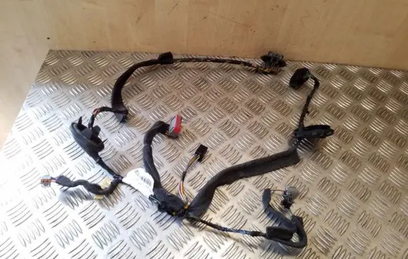 Volvo S80 Rear door wiring loom 30795067