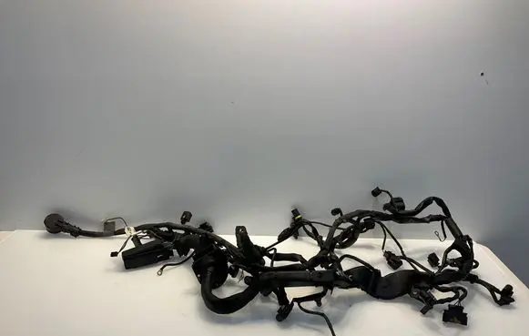 Mercedes-Benz CLS C219 Engine installation wiring loom A6421500620 6421500620