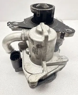 EGR valve