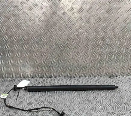 Ford Kuga III Tailgate/trunk strut/damper LV4BS402A54CA