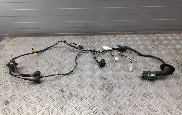 Porsche Macan (95B) Front door wiring loom 95B971029BA