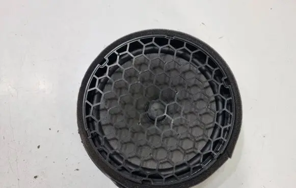 Front door speaker