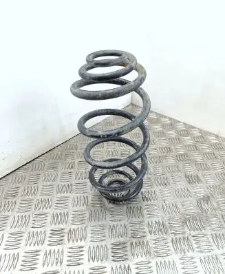 Rear coil spring
