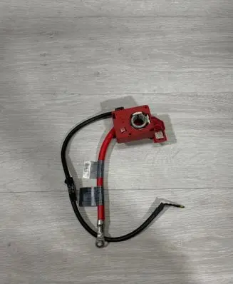 BMW 1 E82 E88 Positive cable (battery) 9130879 521260150