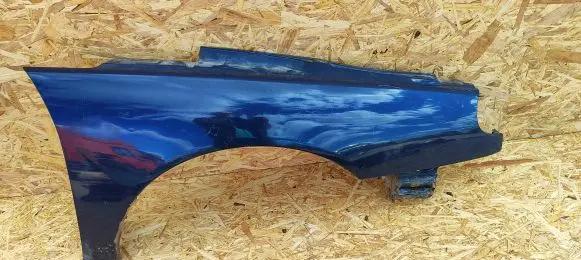 Renault Laguna I Fender