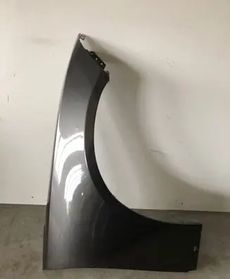 Dodge Charger Fender 