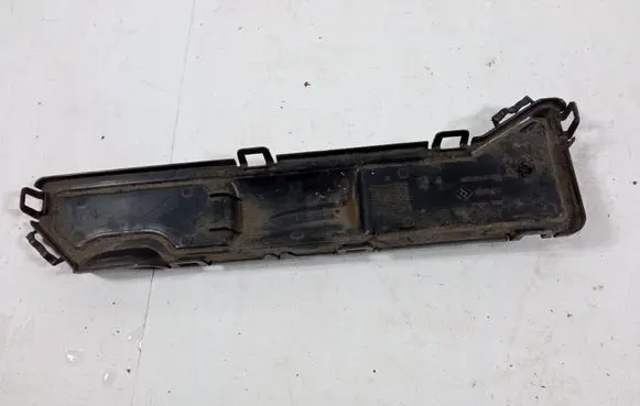 Engine bonnet/hood lock trim molding