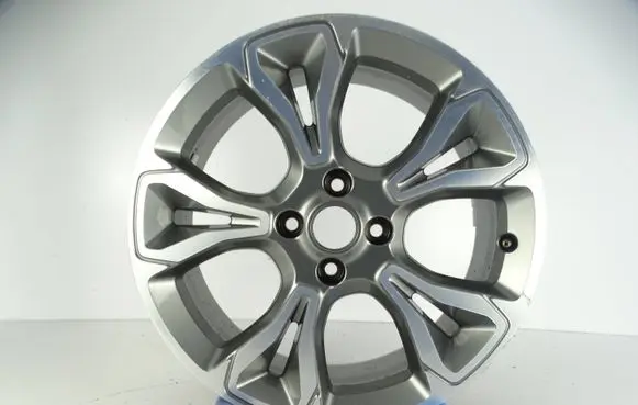 Ford Focus Original wheel cap H1BJ1007E1A
