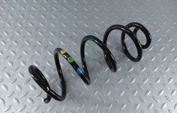 Dacia Sandero III Rear coil spring 550207929R