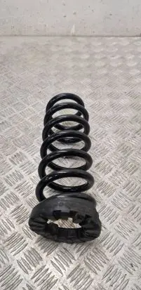 Rear coil spring