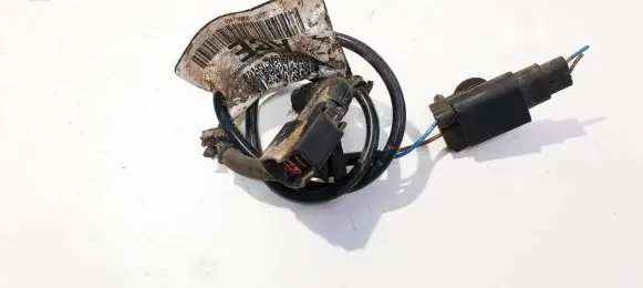 Other wiring loom