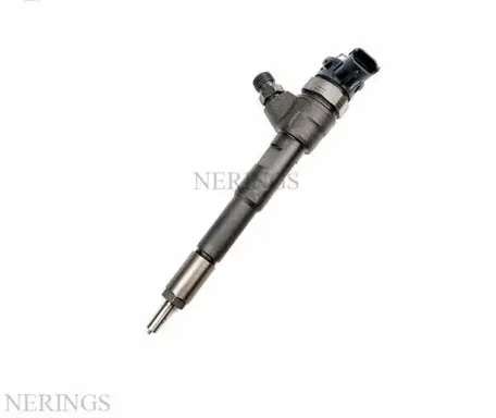 Dacia Dokker Fuel injector 0445110485