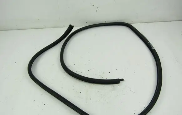 BMW 3 E46 Front door rubber seal 
