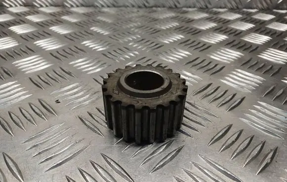 Renault Clio III Crankshaft pulley 313627