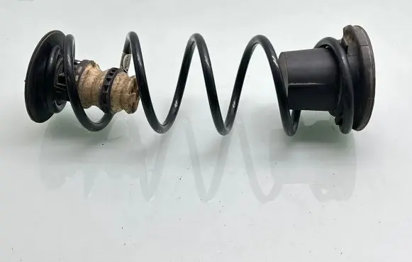 Citroen Berlingo Rear coil spring