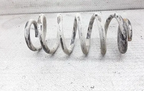 Front coil spring