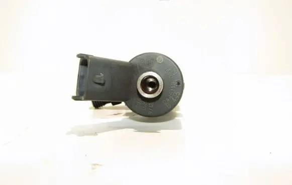 Fiat Punto (188) Fuel injector 0445110019