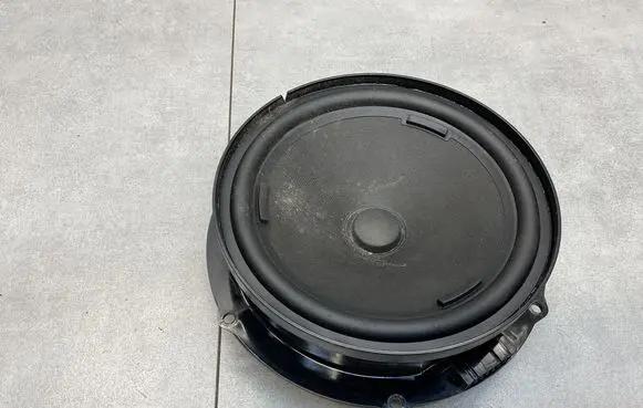 Volkswagen PASSAT B8 Front door speaker 3G0035454