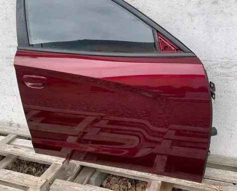 Dodge Charger Front door 2235342534254