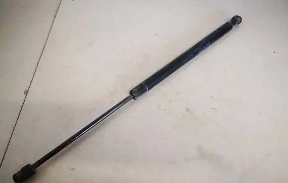 Tailgate/trunk strut/damper