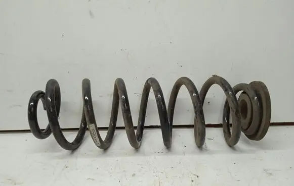 Rear coil spring