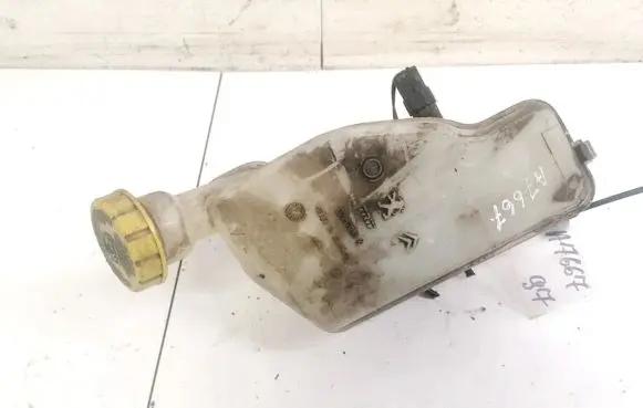 Peugeot 207 Master brake cylinder 32067093K