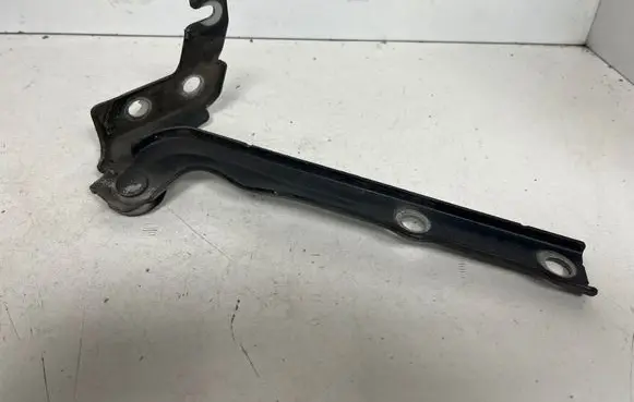 Volkswagen Tiguan Engine bonnet/hood hinges 5N0823302A