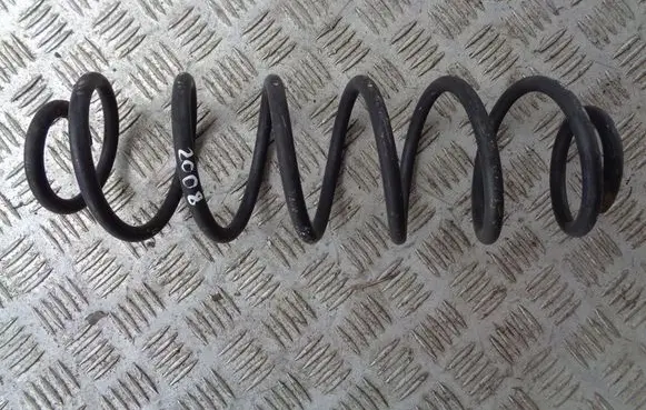 Rear coil spring