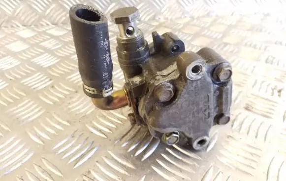 Volkswagen PASSAT B5 Power steering pump 8D0145156L 522540