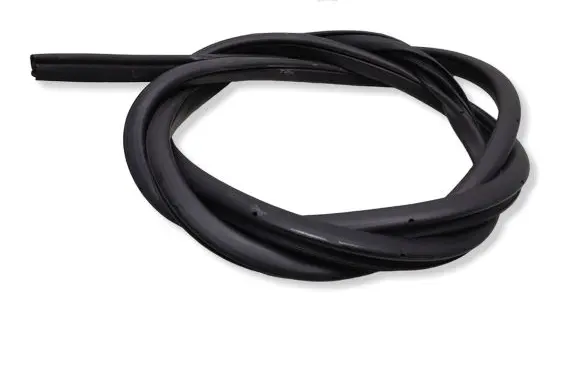 Nissan Leaf II (ZE1) Front door rubber seal 