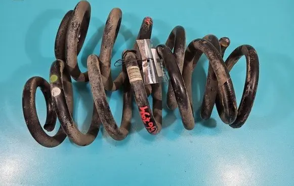 Rear coil spring