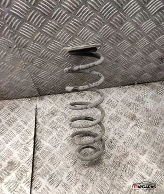 Volkswagen Golf VI Rear coil spring 