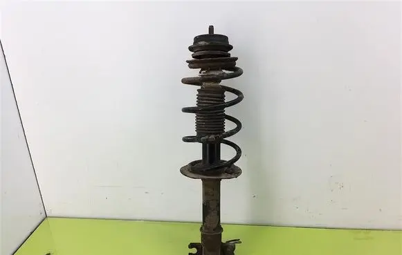 Fiat Punto (188) Front shock absorber with coil spring 